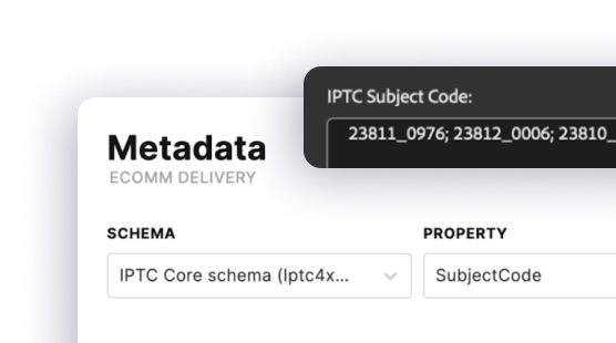 DATA AND APIS - Array Metadata Support for Improved Data Management